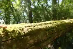 白龍神社(神奈川県)