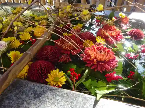 高円寺氷川神社の手水舎