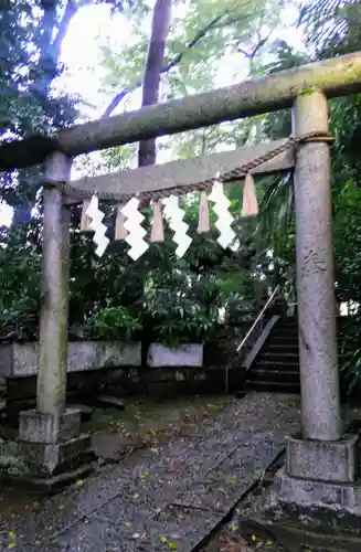 経堂天祖神社の鳥居