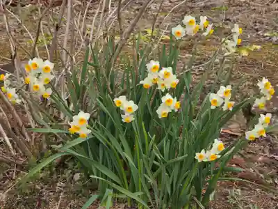 長楽寺(兵庫県)