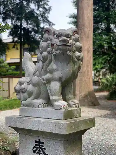 浅間神社の狛犬