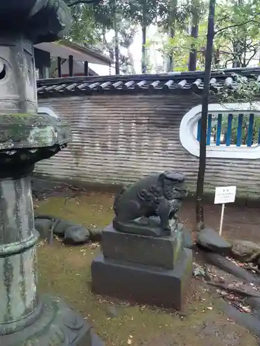 赤坂氷川神社の狛犬