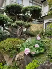 光徳寺の自然