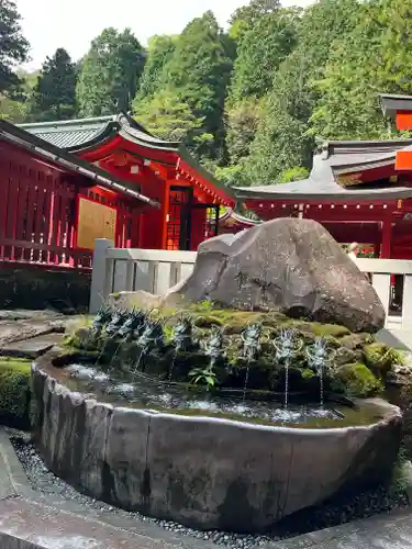 箱根神社(神奈川県)