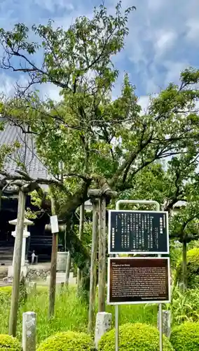 金剛寺のその他建物