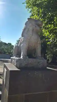 岩内神社の狛犬