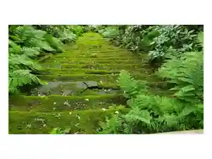 妙法寺の御朱印