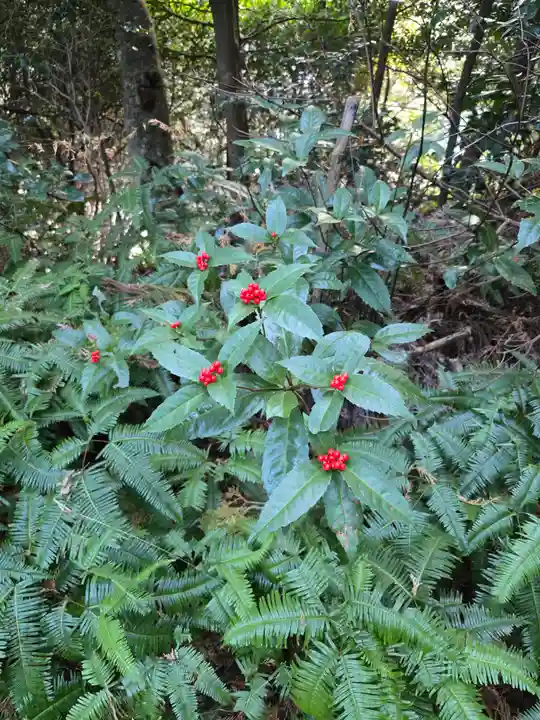 笠子神社(静岡県)