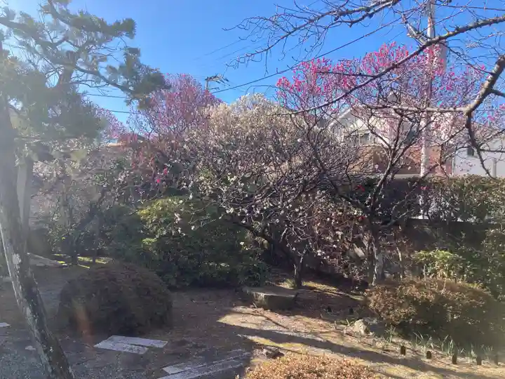 薬師院(神奈川県)