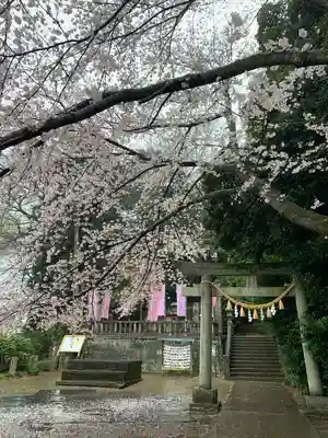 前玉神社(埼玉県)
