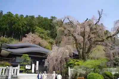 久遠寺のその他建物