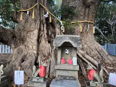 信太森神社（葛葉稲荷神社）(大阪府)