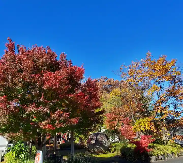 萬寿神社の自然