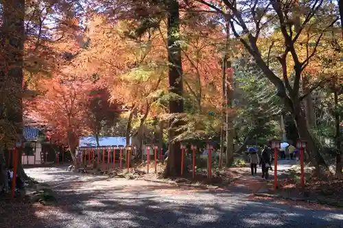 日吉大社の建物その他