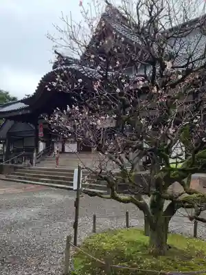 尾山神社(石川県)