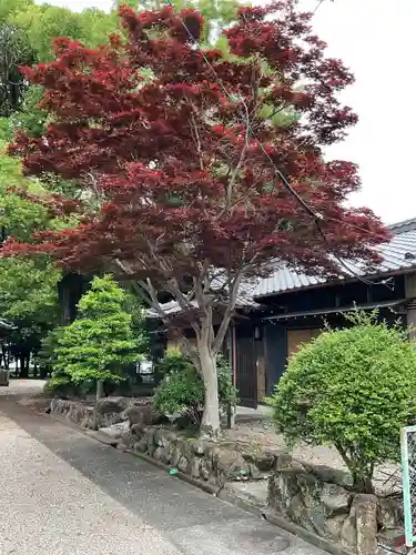 尾張神社（小針）の自然
