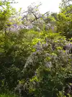 弁財天宮の自然