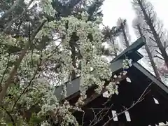 阿部野神社(大阪府)