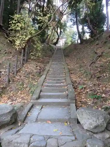 吉田神社の自然