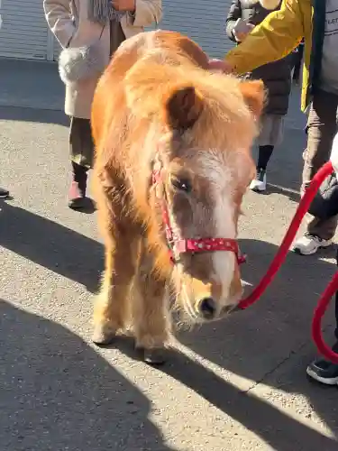 五方山熊野神社の{uncategorized: "未分類", other: "その他", undefined: "問題あり", building: "その他建物", grave: "お墓", sacred_gate: "鳥居", guardian: "狛犬", statue: "像", buddha: "仏像", history: "歴史", nature: "自然", garden: "庭園", animal: "動物", pagoda: "塔", temizu: "手水舎", mountain_gate: "山門・神門", sanctuary: "本殿・本堂", subordinate: "末社・摂社", art: "芸術", scenery: "景色", jizo: "地蔵", ema: "絵馬", goshuin: "御朱印", omikuji: "おみくじ", items: "授与品その他", amulet: "お守り", goshuincho: "御朱印帳", eats: "食事", festival: "お祭り", votive_dance: "神楽", shichigosan: "七五三参", wedding: "結婚式", experience: "体験その他", initially: "初詣", around: "周辺", anti_infection: "感染症対策"}
