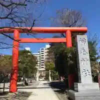 稲毛神社の鳥居