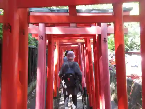 乙女稲荷神社の鳥居