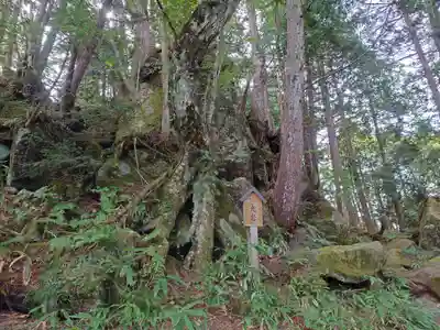 天の岩戸(飛騨一宮水無神社奥宮)の自然