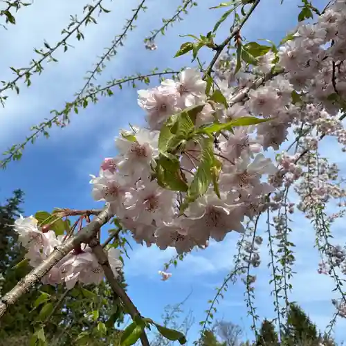 豊景神社(福島県)