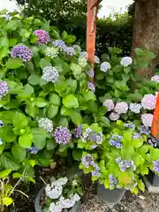 源九郎稲荷神社(奈良県)