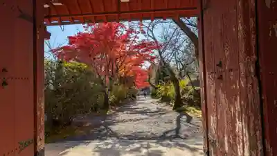 常照寺(京都府)