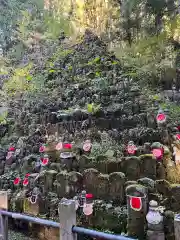 高野山金剛峯寺奥の院(和歌山県)