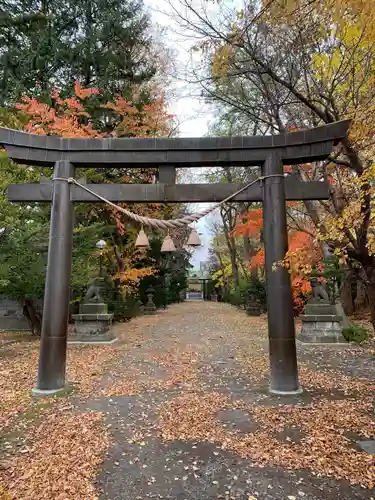 信濃神社の鳥居