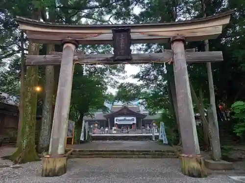 土佐神社の鳥居