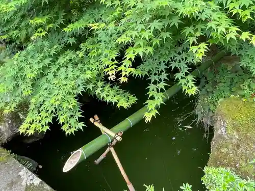 法雲寺(埼玉県)