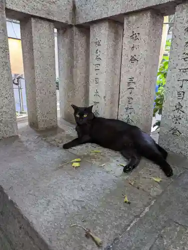 小野照崎神社の動物