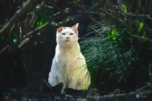 今市報徳二宮神社(栃木県)