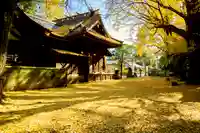 玉敷神社の自然