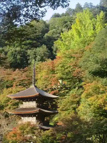 金剛院(京都府)