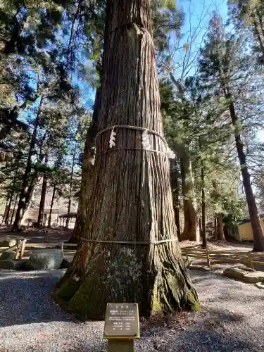 河口浅間神社(山梨県)