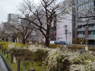 浅草神社の周辺