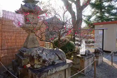 菅原天満宮（菅原神社）の狛犬