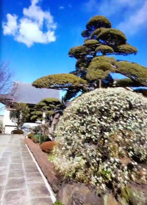 松應寺(東京都)