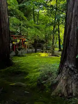 野宮神社(京都府)