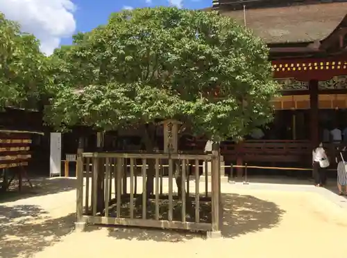 太宰府天満宮の自然