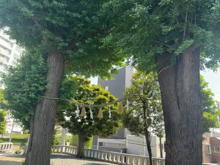 代田八幡神社(東京都)
