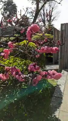 大乗院(京都府)