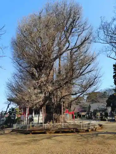 千葉寺(千葉県)