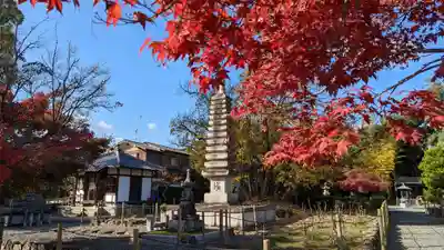 乙訓寺(京都府)