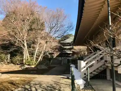 豪徳寺(東京都)