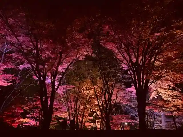 土津神社|こどもと出世の神さまの景色